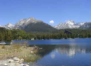 Pstrbpleso02.jpg (7286 bytes)